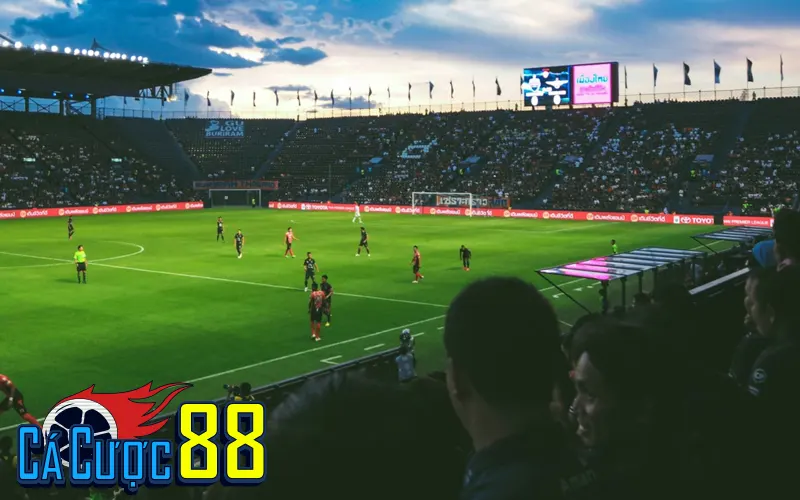 Vòng 1/16 trong mắt người hâm mộ và giới chuyên môn