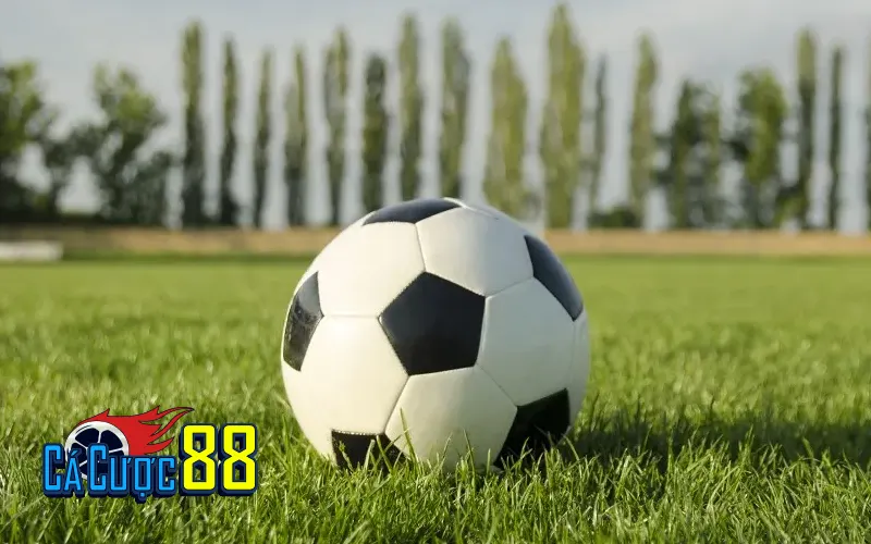 Kèo bóng đá là gì? – Những khái niệm cơ bản dành cho người mới chơi